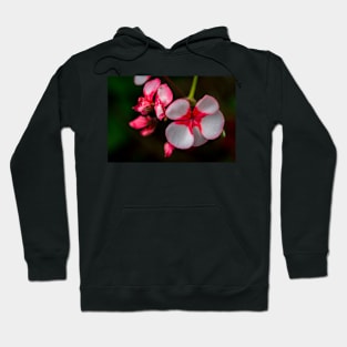 FLOWERS, NATURE’S Fashion Models Hoodie